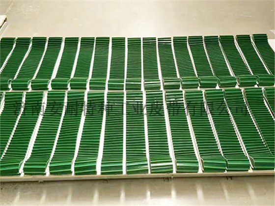 擋板輸送帶 擋板輸送帶