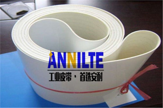 食品級輸送帶 食品級輸送帶