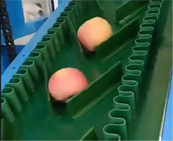 微信圖片_20210514113844 微信圖片_20210514113844