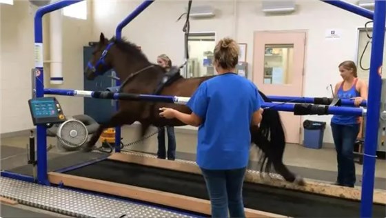 微信圖片_20230923100545 微信圖片_20230923100545