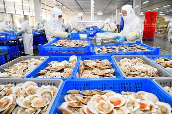 微信圖片_20230923110801 微信圖片_20230923110801