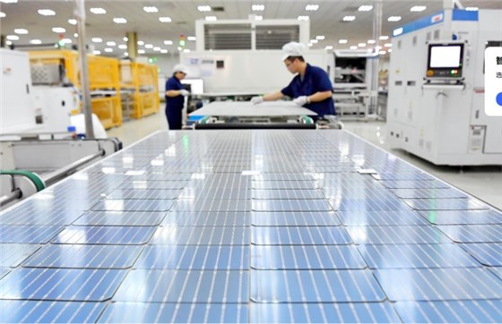 微信圖片_20231028115603 微信圖片_20231028115603