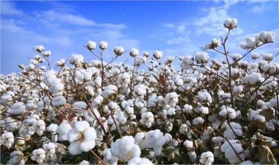 微信圖片_20231028142702 微信圖片_20231028142702