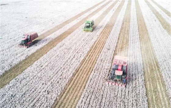 微信圖片_20231028142816 微信圖片_20231028142816