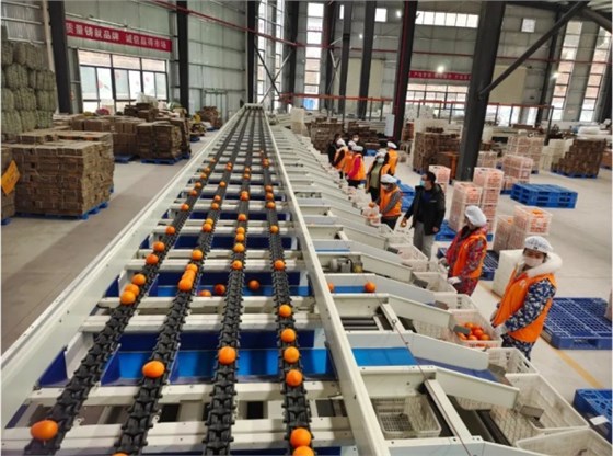 微信圖片_20231109170839 微信圖片_20231109170839