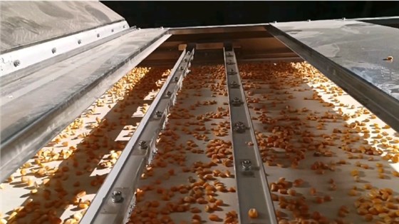 微信圖片_20231121110808 微信圖片_20231121110808