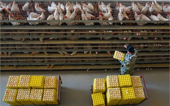 微信圖片_20240104145619 微信圖片_20240104145619