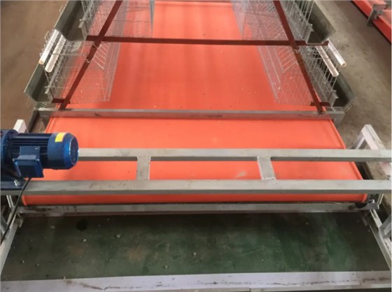 微信圖片_20231227151023 微信圖片_20231227151023