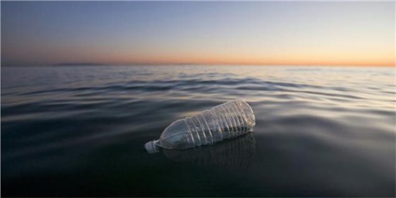 1e4e838423 1e4e838423