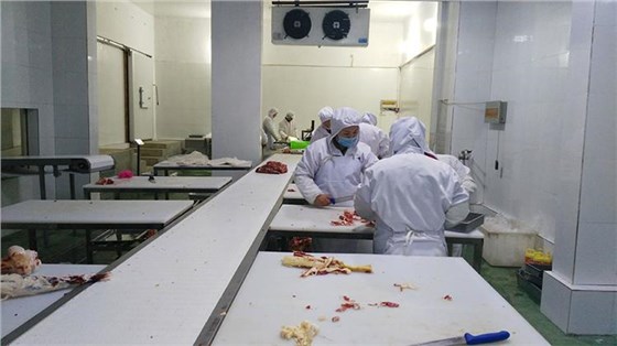 201806051642293722804 201806051642293722804