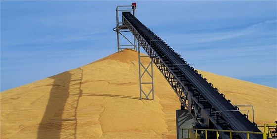 liangshi-04 liangshi-04