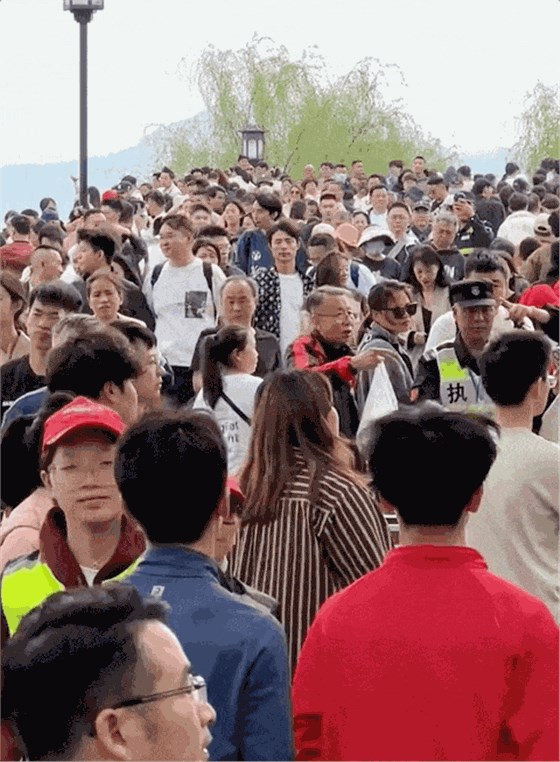 8eb1-gif663708098e8a8525ae17ca8fb53d09e9 8eb1-gif663708098e8a8525ae17ca8fb53d09e9