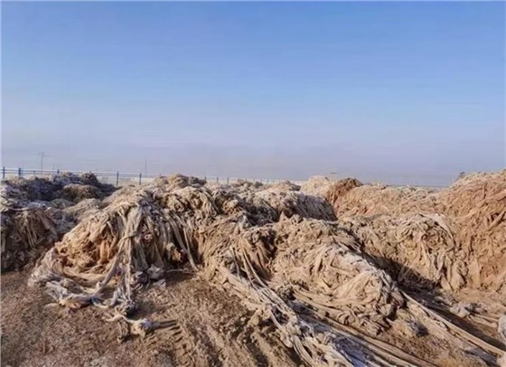 u=3297413935,2494099724&fm=253&fmt=auto&app=138&f=JPEG_看圖王 u=3297413935,2494099724&fm=253&fmt=auto&app=138&f=JPEG_看圖王