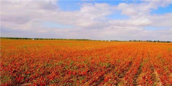 5899-hkhfqns0662034 5899-hkhfqns0662034