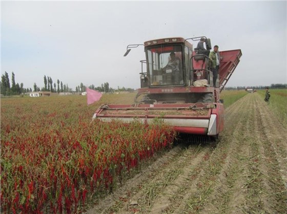 201703220434004 201703220434004