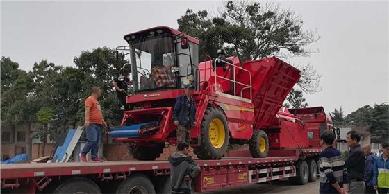 60d45c2ce0b84a68f894a55b17810806 60d45c2ce0b84a68f894a55b17810806