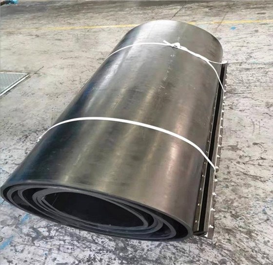 b_5300971202302200842042503_看圖王 b_5300971202302200842042503_看圖王