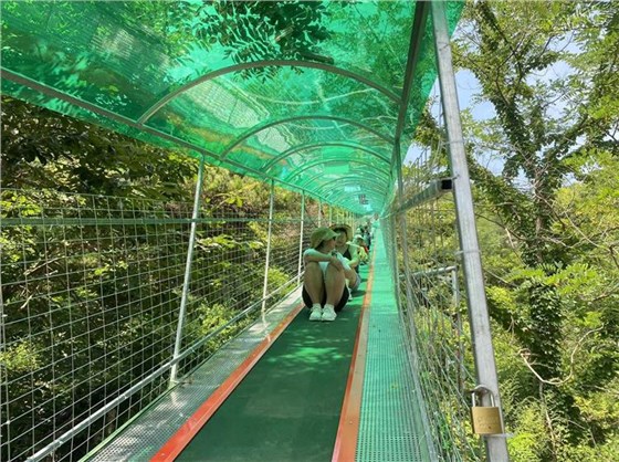 169104312498 169104312498