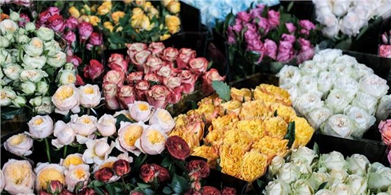 E9AE49B6F05497E0CE804F1C117C82A9 E9AE49B6F05497E0CE804F1C117C82A9