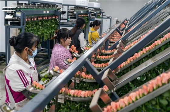 1000_看圖王 1000_看圖王