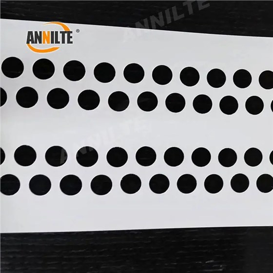 perforated_egg_belt_04_看圖王 perforated_egg_belt_04_看圖王