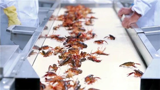 4e10bb3203584a33bdd62df47c4d2fa8_看圖王 4e10bb3203584a33bdd62df47c4d2fa8_看圖王