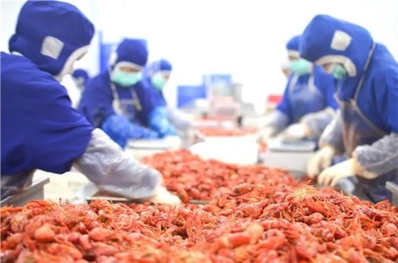 u=3002014393,27628404&fm=253&fmt=auto&app=138&f=JPEG_看圖王 u=3002014393,27628404&fm=253&fmt=auto&app=138&f=JPEG_看圖王