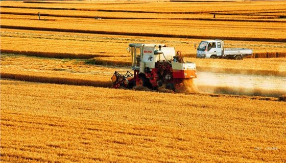 秋收0920-7 秋收0920-7