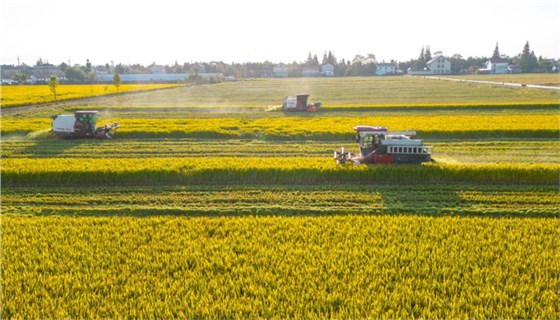 秋收0920-10 秋收0920-10