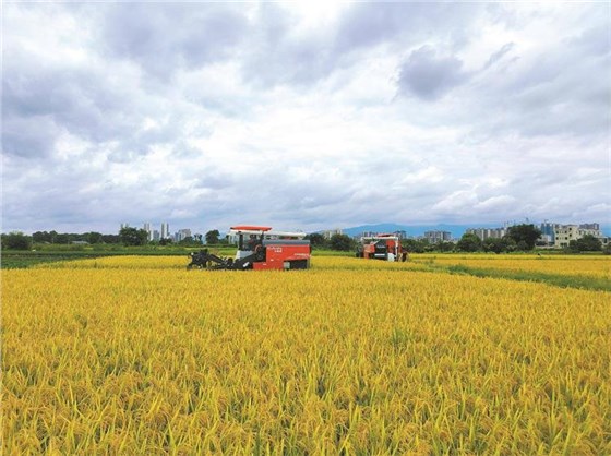 秋收0920-9 秋收0920-9