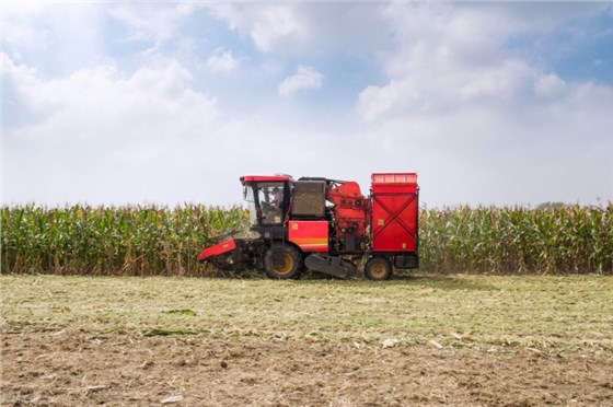 秋收0920-11 秋收0920-11