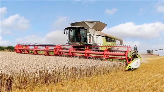 秋收0920-6 秋收0920-6