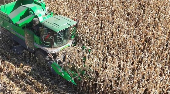 秋收0920-8 秋收0920-8