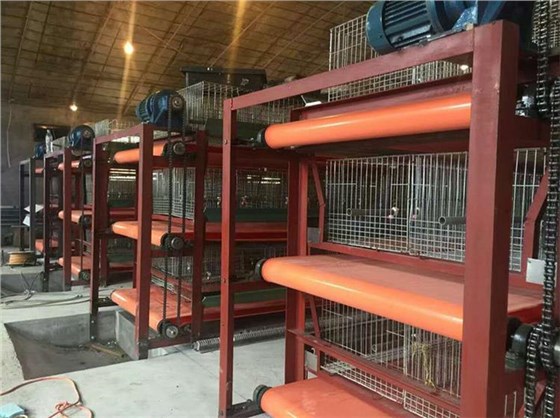 兔舍清糞帶0927-5 兔舍清糞帶0927-5