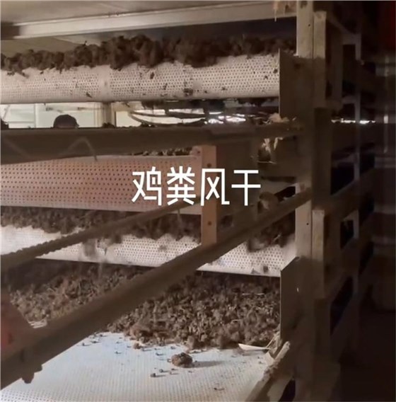 雞糞烘干輸送帶3 雞糞烘干輸送帶3
