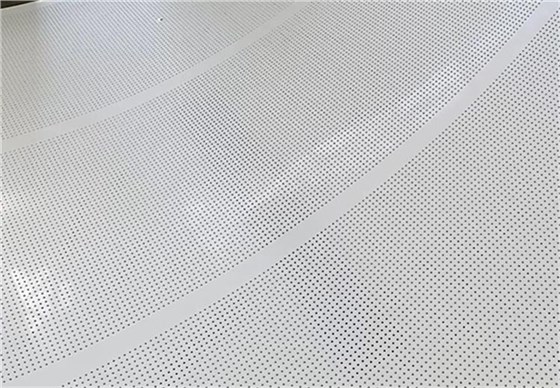 雞糞烘干輸送帶4 雞糞烘干輸送帶4