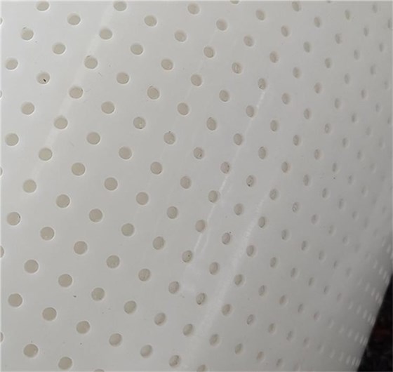 雞糞烘干輸送帶2 雞糞烘干輸送帶2