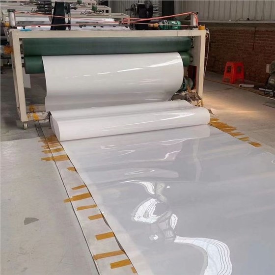 養(yǎng)蛇清糞帶 養(yǎng)蛇清糞帶