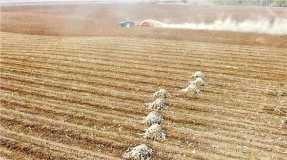 土壤污染防控計劃-9