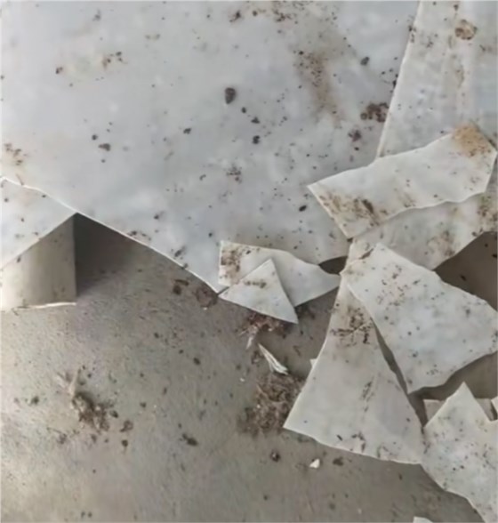 耐寒清糞帶-2 耐寒清糞帶-2