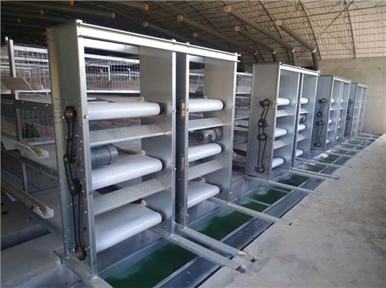 耐寒清糞帶-5 耐寒清糞帶-5