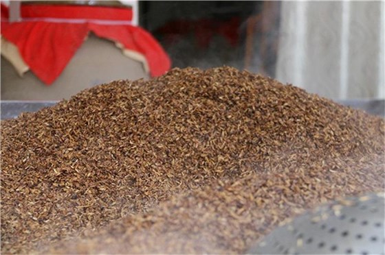 酒糟輸送帶-4 酒糟輸送帶-4