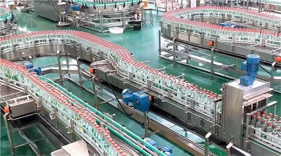 酒糟輸送帶-10 酒糟輸送帶-10