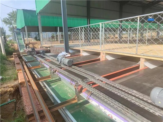 羊舍清糞帶1 羊舍清糞帶1