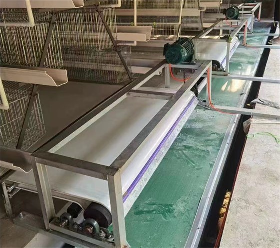 羊舍清糞帶-3 羊舍清糞帶-3