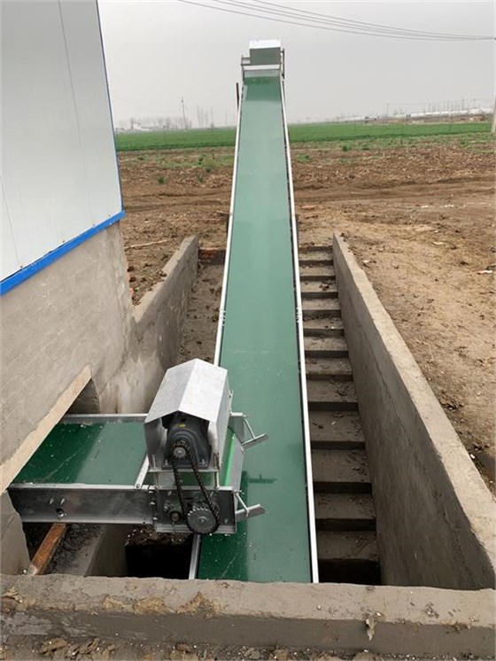 羊舍清糞帶-4 羊舍清糞帶-4