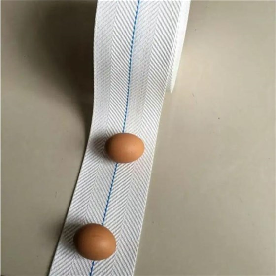 打孔撿蛋帶0219-3 打孔撿蛋帶0219-3