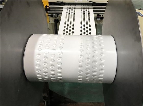 打孔撿蛋帶0219-6 打孔撿蛋帶0219-6