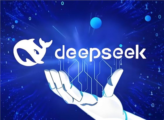 deepseek0219-1 deepseek0219-1