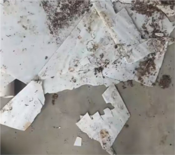 清糞帶0224-3 清糞帶0224-3